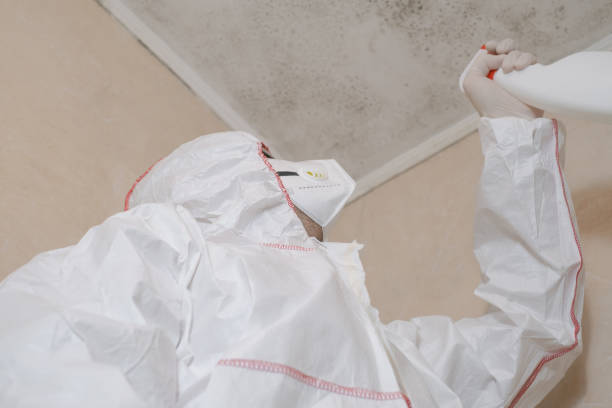 Best Toxic Mold Removal  in Jonesboro, IL
