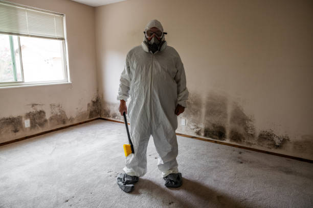 Best Crawl Space Mold Removal  in Jonesboro, IL